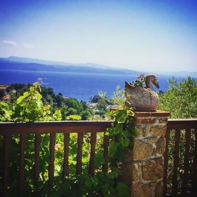 Villa Dreamy Jasmine In Skiathos With Your Exclusive Private Pool